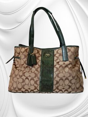 Coach Signature Stripe Python Carryall Tote, style number F24882